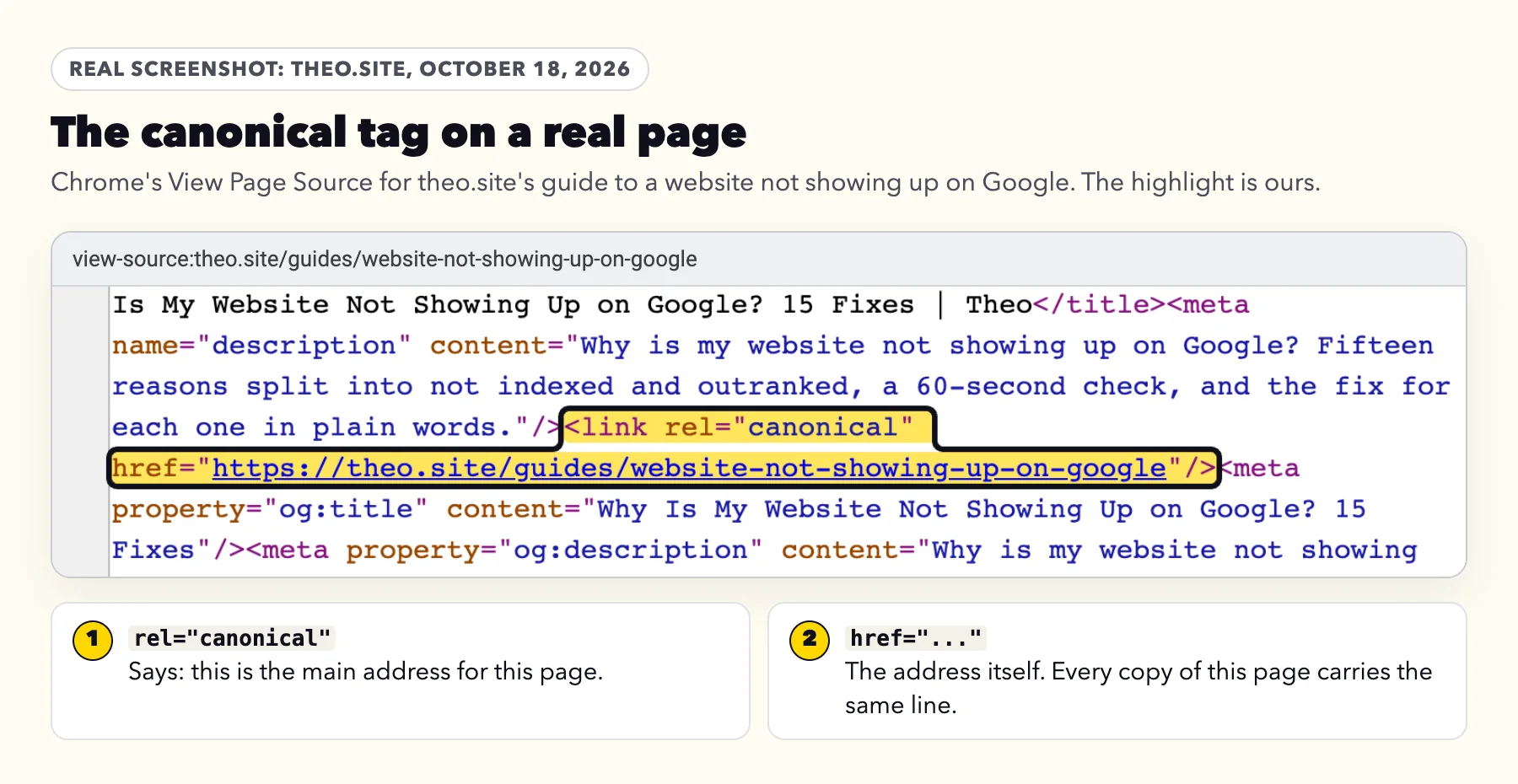 Real screenshot of theo.site's page source in Chrome with the canonical tag highlighted, naming the main address of the guide