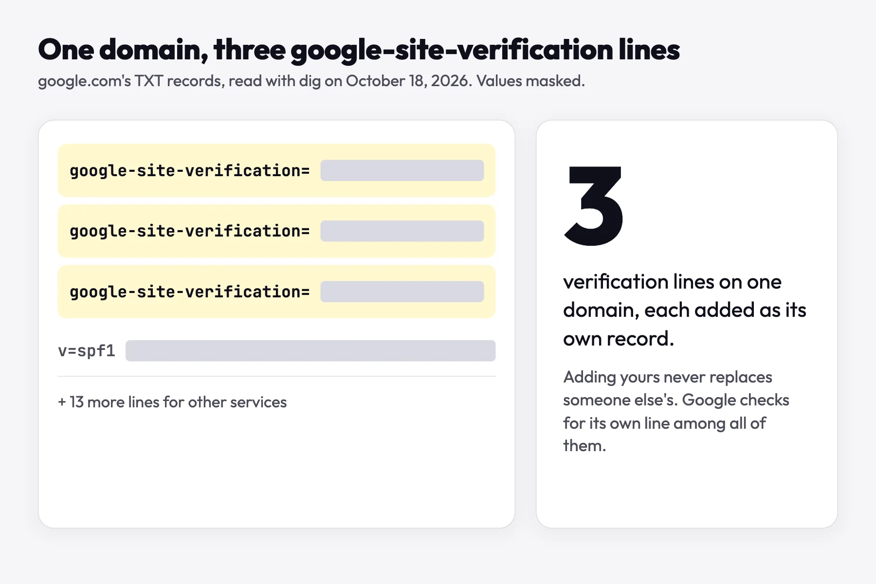 google.com's TXT records with values masked, showing three google-site-verification lines above other lines