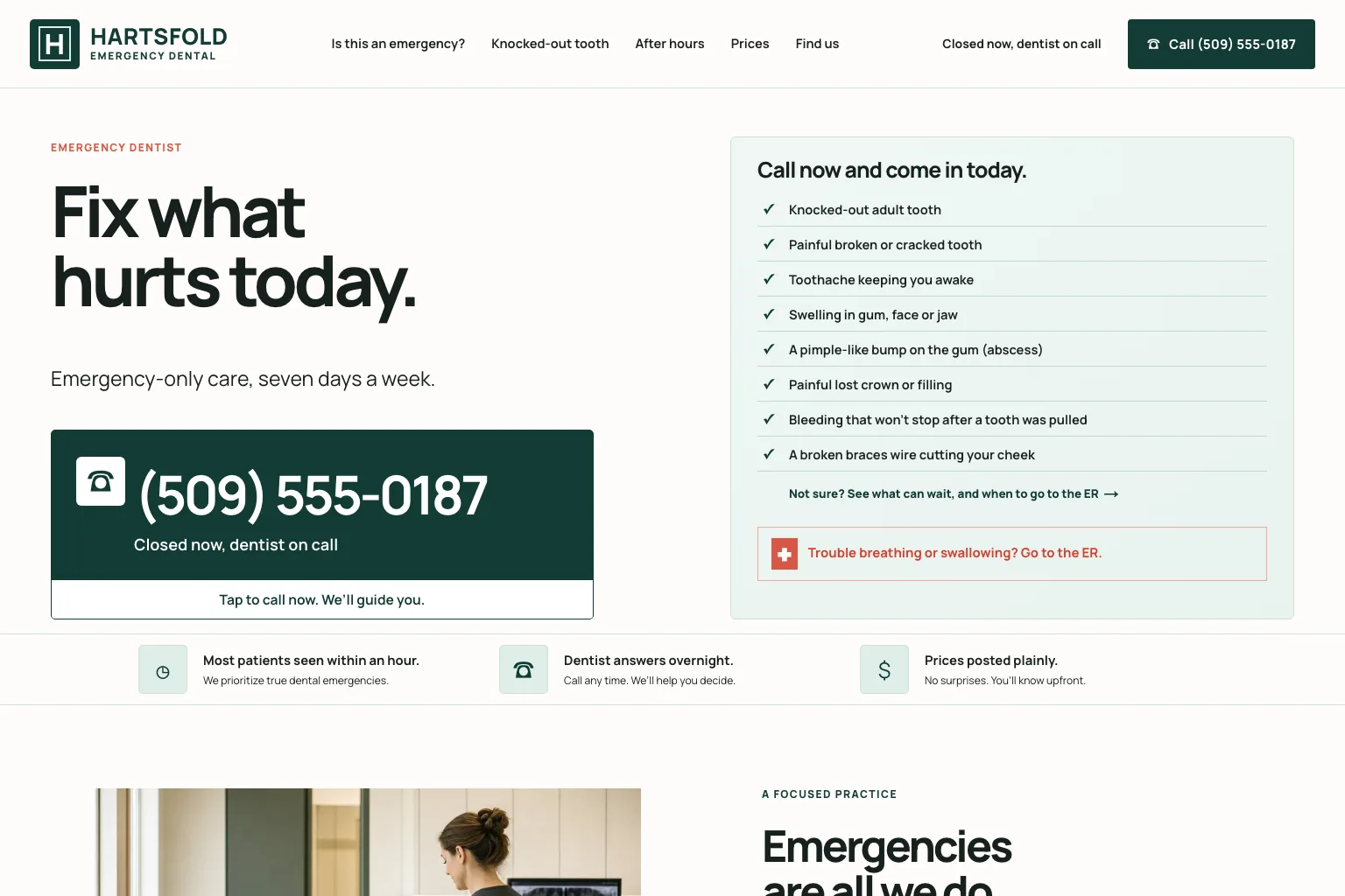 Hartsfold Emergency Dental home page, built by Theo