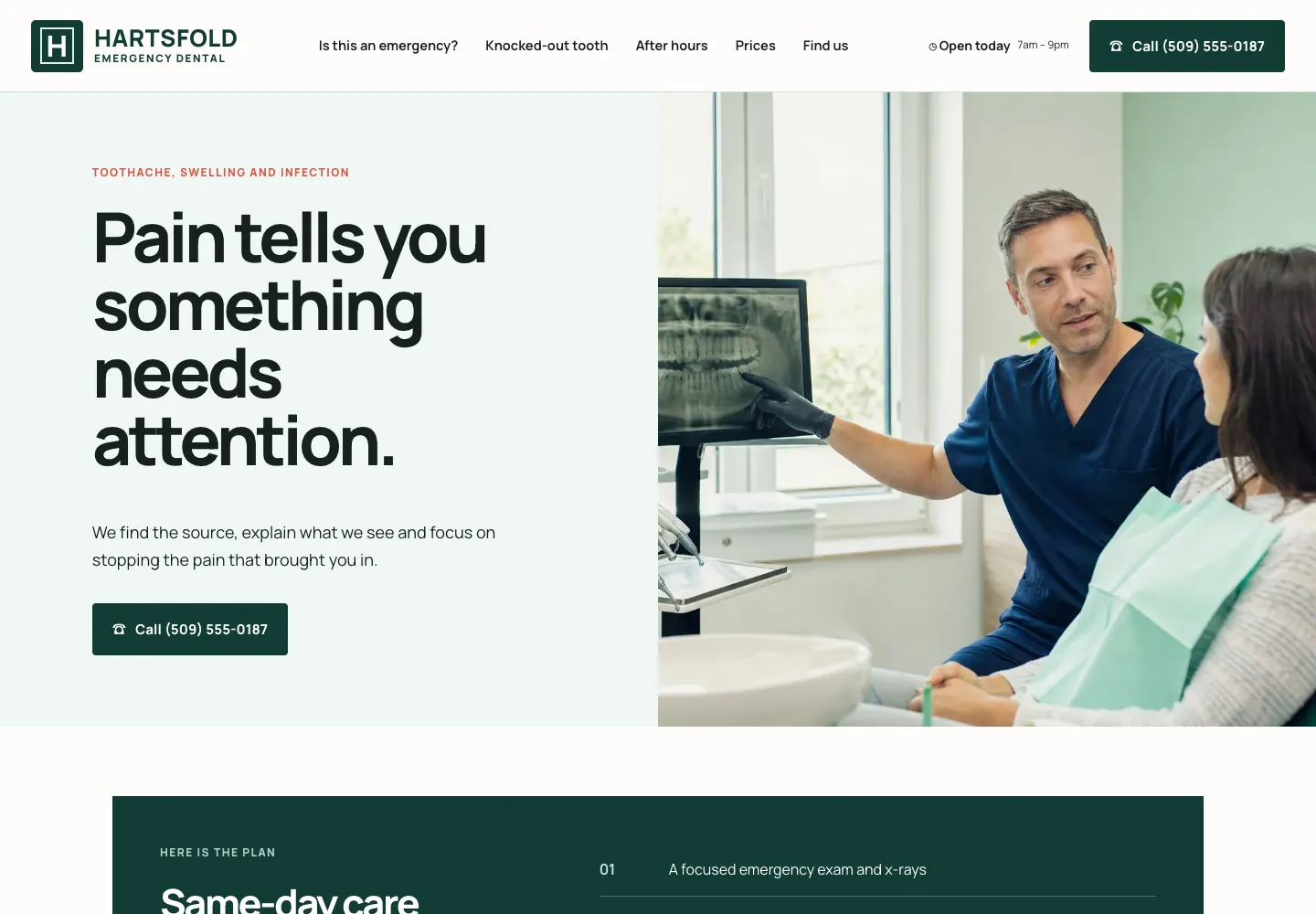 Hartsfold Emergency Dental page for toothache, swelling and infection, built by Theo: headed Pain tells you something needs attention, with a call button and the start of a same-day care list