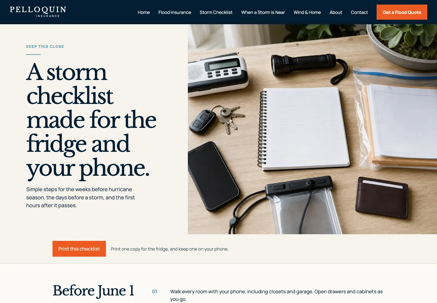 Storm checklist page of Pelloquin Insurance, built by Theo