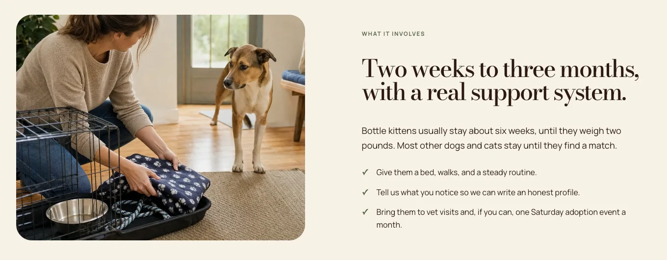 Cottonwick Animal Rescue's Foster page, built by Theo: a photo of a foster setting up a crate beside a dog, and the heading Two weeks to three months, with a real support system