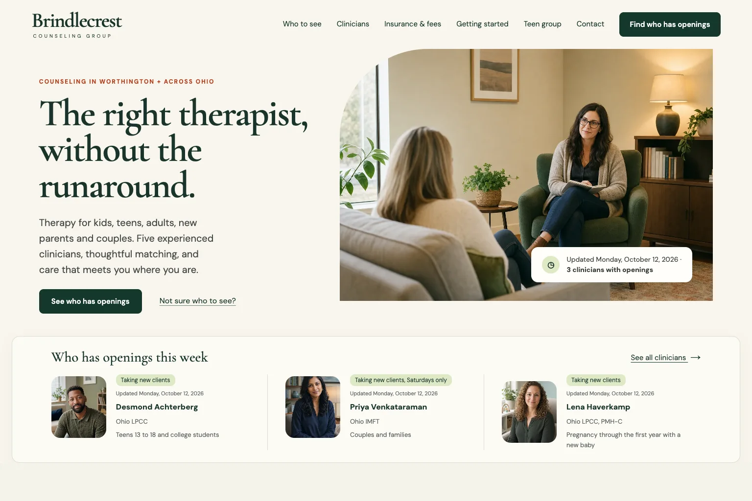 Brindlecrest Counseling Group home page, built by Theo