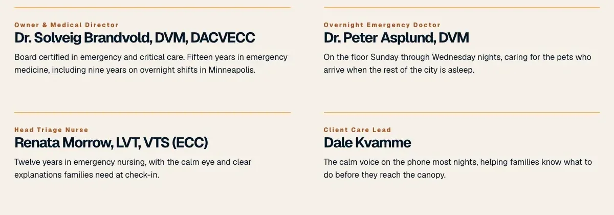 Lanternfield Animal Emergency Hospital team section, built by Theo: Dr. Solveig Brandvold, DVM, DACVECC, board certified in emergency and critical care, and three more of the team