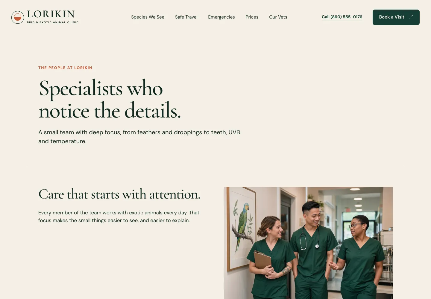 Lorikin Bird & Exotic Animal Clinic Our Vets page, built by Theo: the headline Specialists who notice the details and three staff in scrubs walking past a parrot print