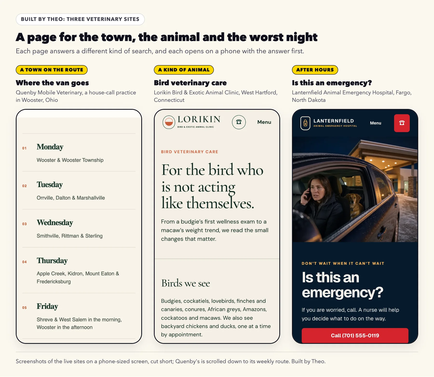 Three vet sites built by Theo on a phone: a van route by town, a bird care page and an Is this an emergency? page